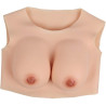 CrossGearX Brassière Seins Coton Bonnet D
